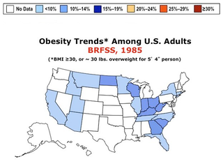 Illustration for article titled "Fat maps" show where the obesity epidemic has hit the United States hardest